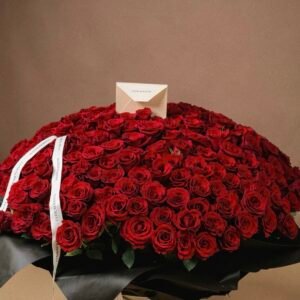 XL Red Roses