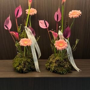 Set of Two: Pink Grace