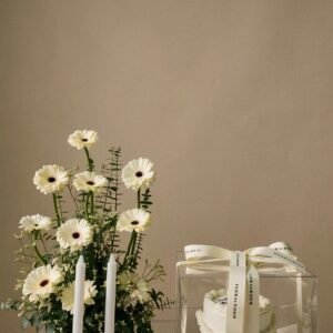 Gerbera Sands