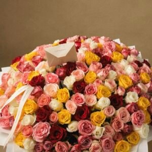 Sunset Mega Roses